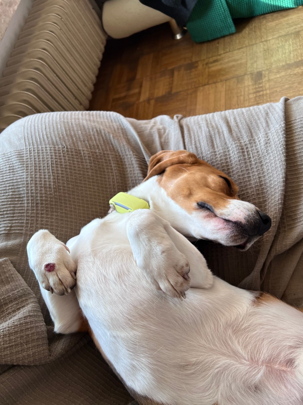 Neues, Neues, und noch viel mehr&nbsp;Neues