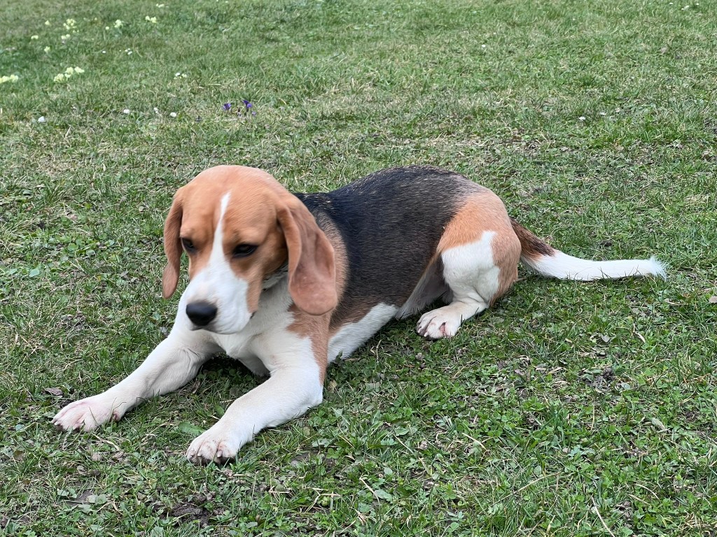 (Fast) Ein ganzer&nbsp;Monat